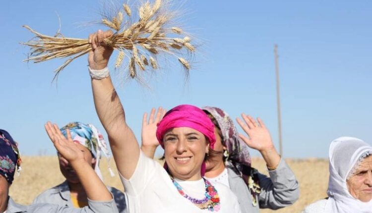 ebru 1