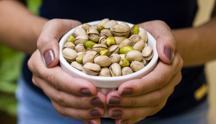Hand of brunette model holding white pot with pistachio