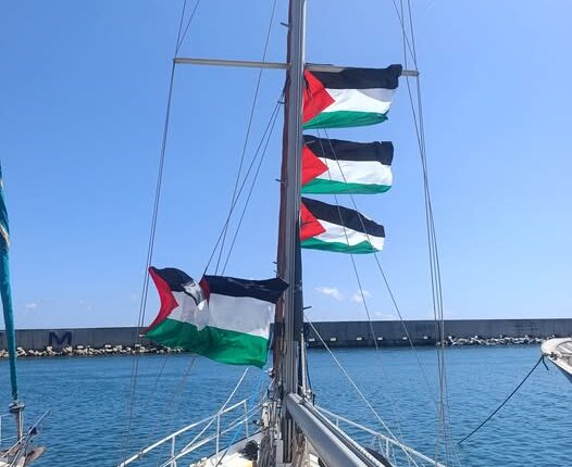 540974534_10229841349923985_1916987499130066830_n