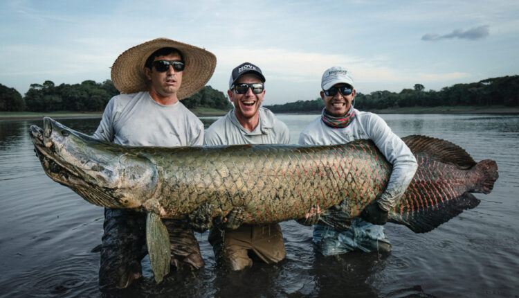 pirarucu-site-leviathans-2