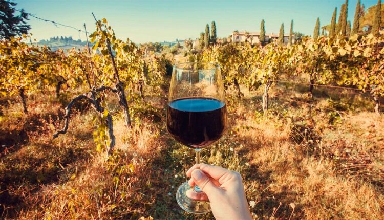 vino-argentino-491085-085632