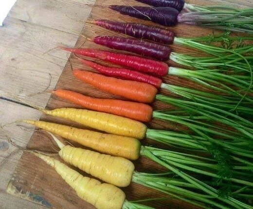 627054628_958723636484736_6428238723313460542_n