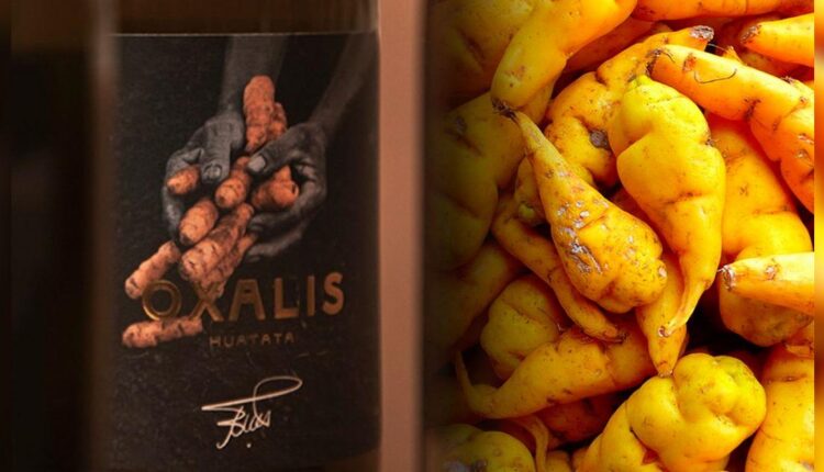 674fbaf5e89ea23e013f15a0