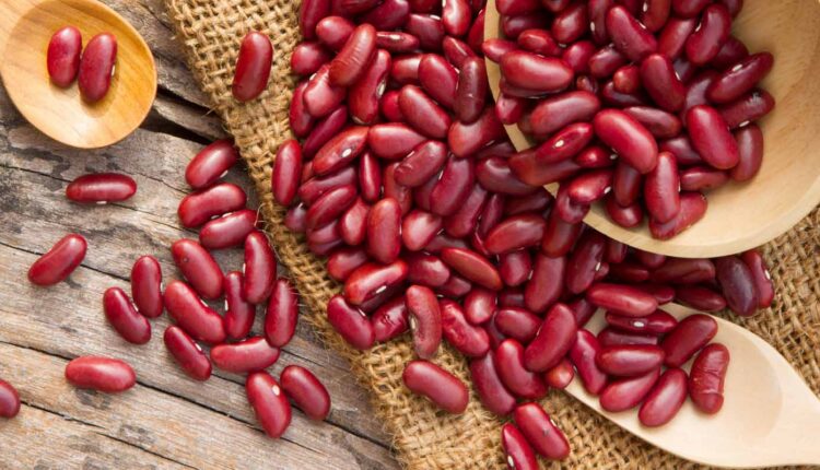 banner-frijoles-colorados